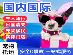 南洋航空快运国际宠物托运 【国